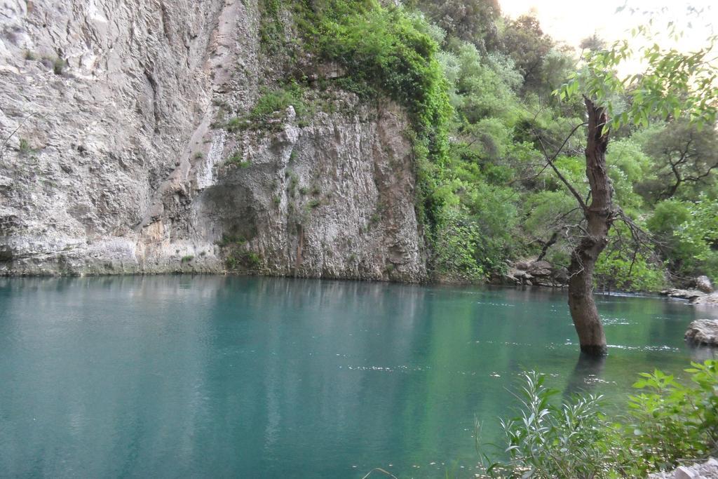 Bastide De La Lezardiere Fontaine-de-Vaucluse Bagian luar foto