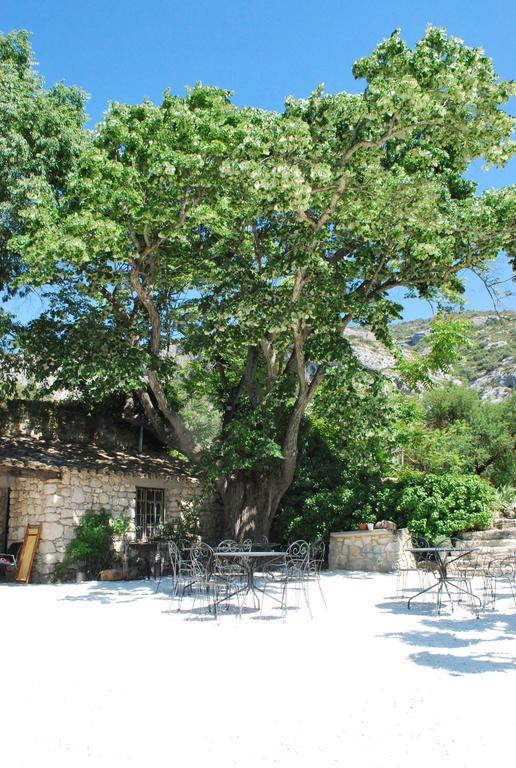 Bastide De La Lezardiere Fontaine-de-Vaucluse Bagian luar foto